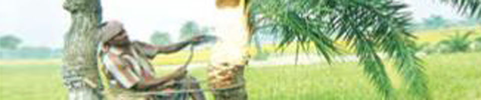 শীতকালের দৃশ্য