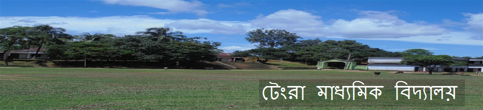 টেংরা মাধ্যমিক বিদ্যালয়