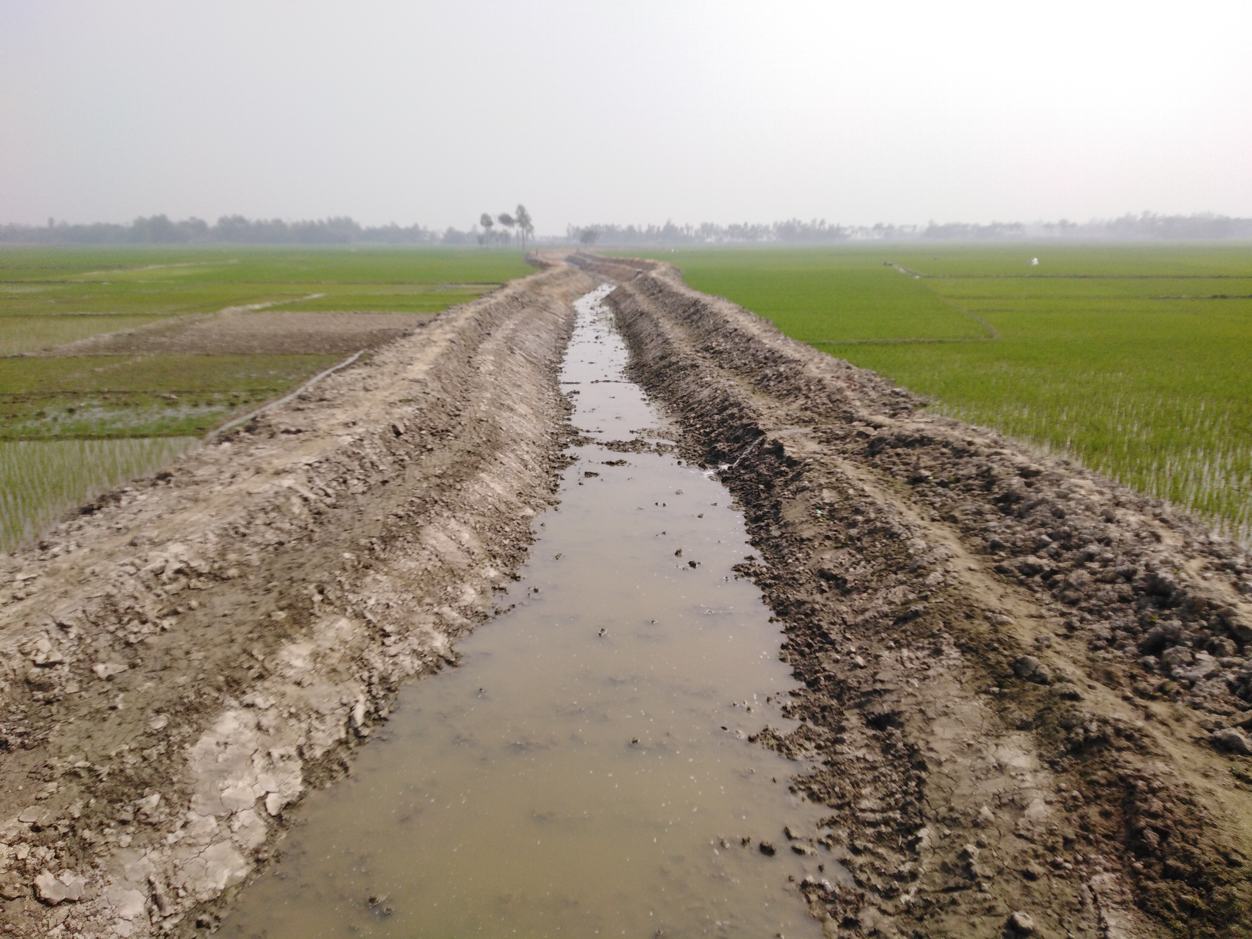 খননকৃত খালের ছবি