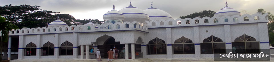 তেঘরিয়া জামে মসজিদ