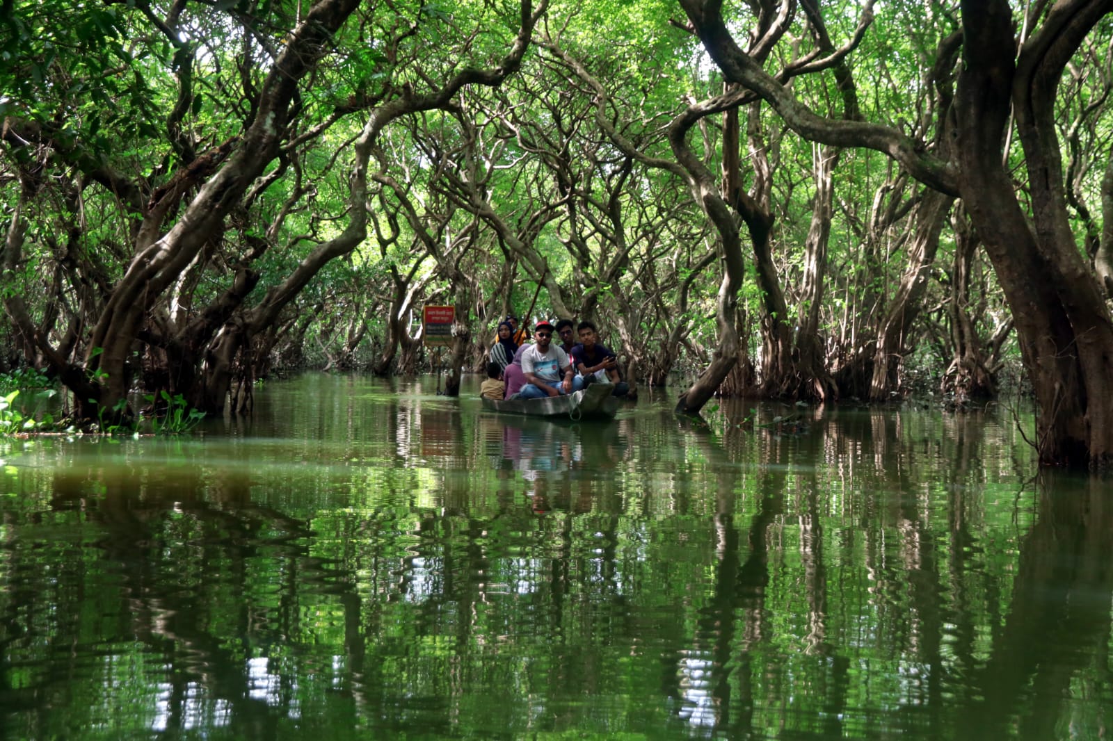 ব্যানার-০২