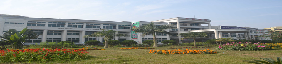 ব্যানার
