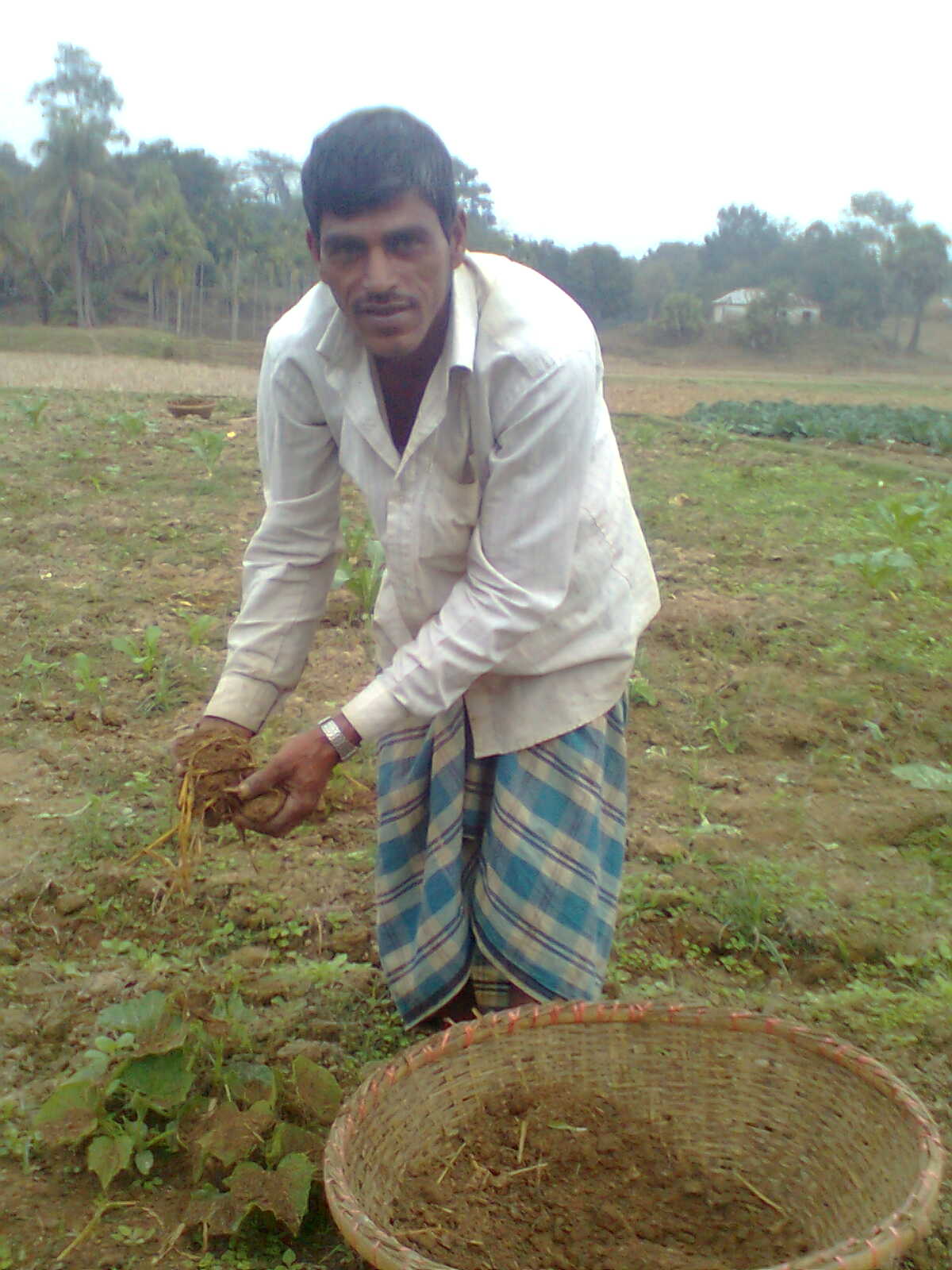 কৃষি ও প্রাণী সম্পদ
