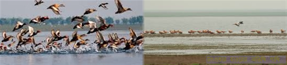 টাংগুয়ার হাওর