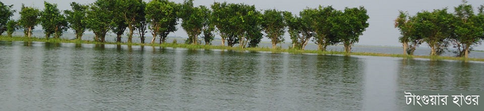 টাংগুয়ার হাওর