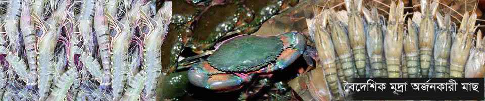 বৈদেশিক মুদ্রা অর্জন কারী মাছ