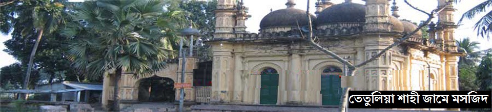 তেঁতুলিয়া শাহী জামে মসজিদ