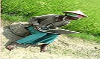 বিবিধ