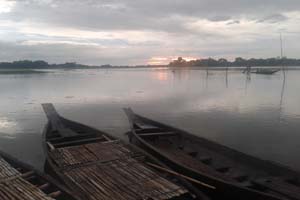 ফটোগ্যালারী