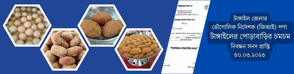 জিআই পণ্য পোড়াবাড়ির চমচম