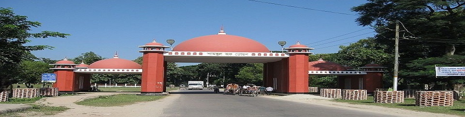 শামসুল হক তোরণ