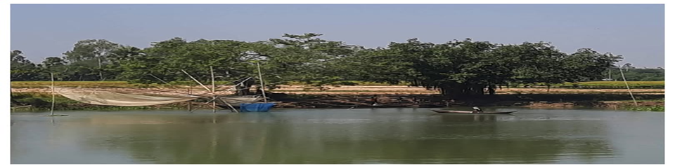 বিল