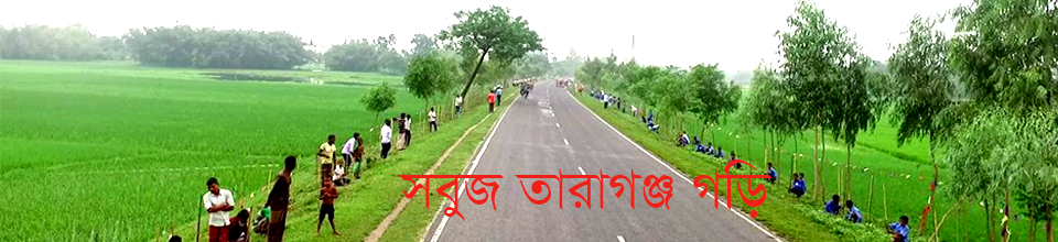 সবুজ তারা