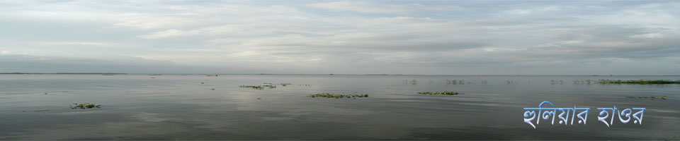 বর্ষায় অপরূপা হুলিয়ার হাওর