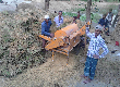 কৃষি, মৎস্য ও প্রাণী-সেবা