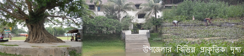 উপজেলার বিভিন্ন প্রাকৃতিক দৃশ্য