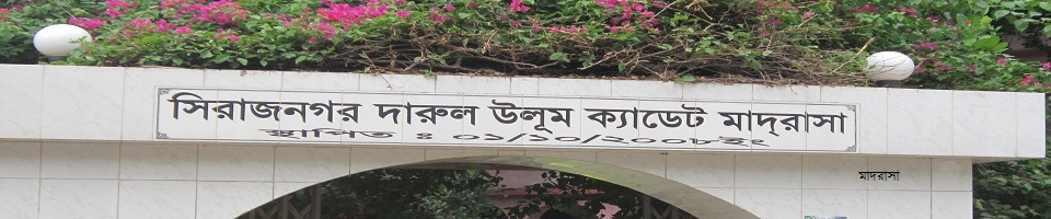 মাদরাসা