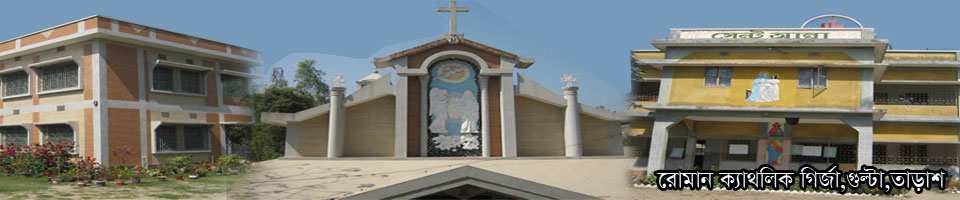 রোমান ক্যাথলিক গির্জা,গুল্টা,তাড়াশ,সিরাজগঞ্জ।