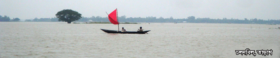 চলনবিল, তাড়াশ