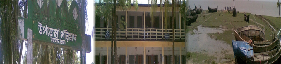তজুমদ্দিন উপজেলা