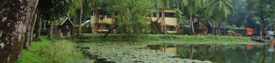 উপজেলা পরিষদ ৪