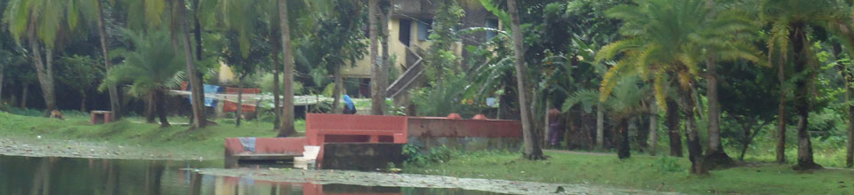 উপজেলা পরিষদ পুকুর৩