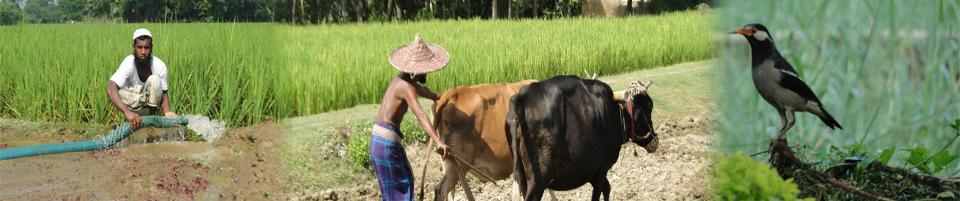 তেঘরিয়া ইউনিয়ন