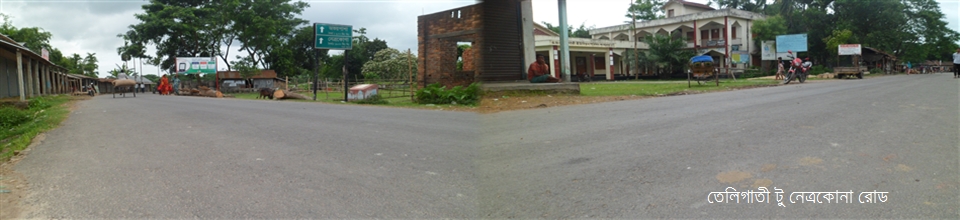 তেলিগাতী টু নেত্রকোনা রোড।