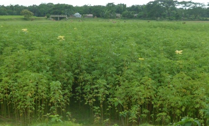 কৃষি ও প্রাণী সম্পদ