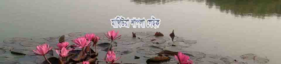 মাথিউরা লেকে শাপলা ফুল