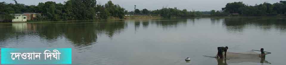 ব্যানার