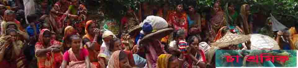 চা শ্রমিক