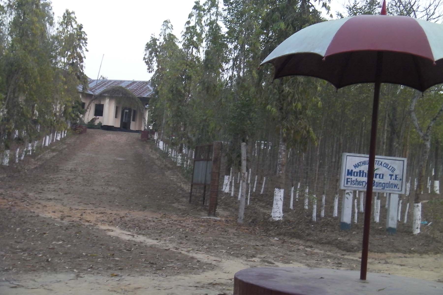 চা বাগান বাংলো