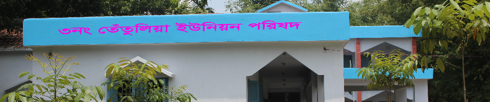 ৩নং তেঁতুলিয়া ইউনিয়ন পরিষদে