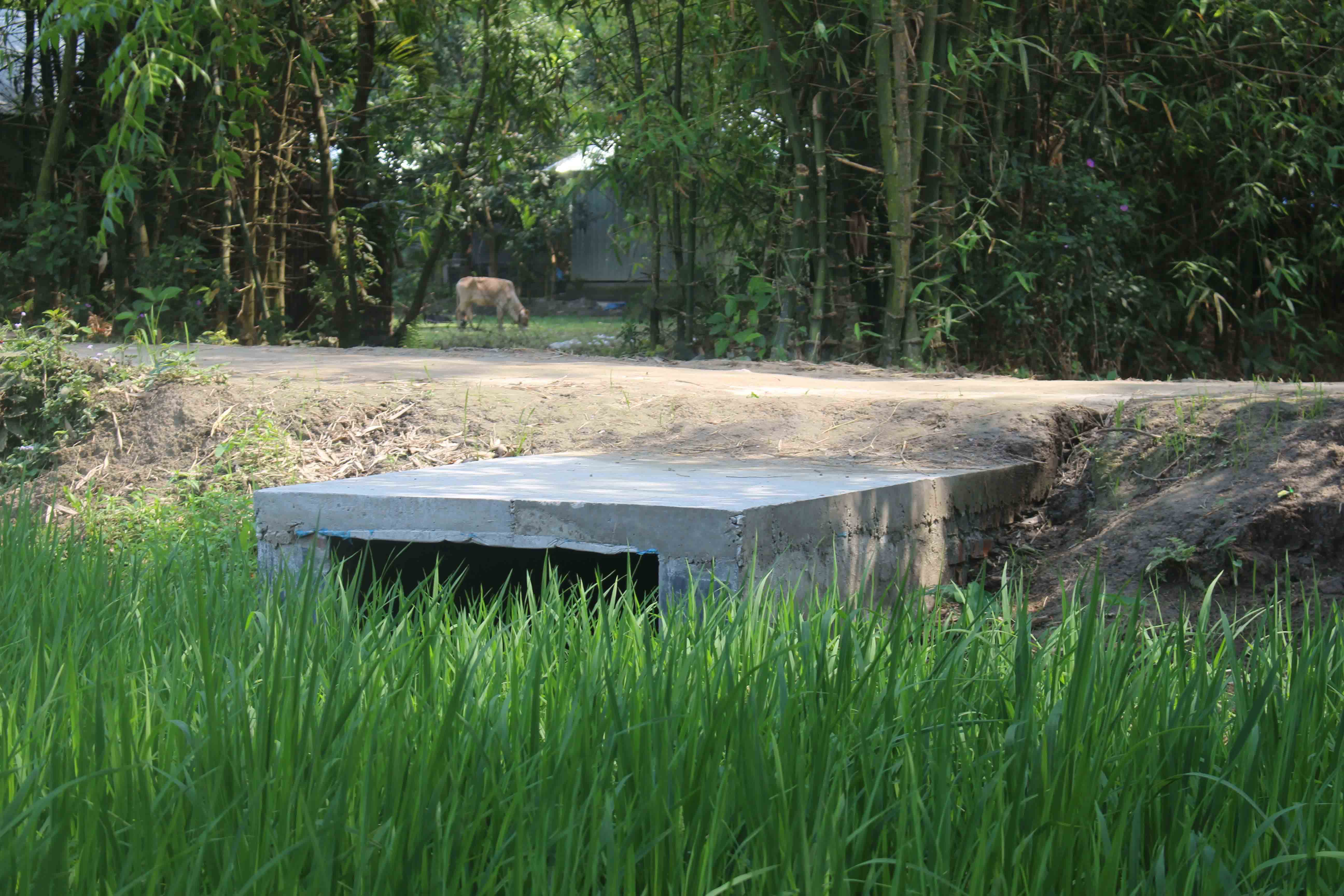 ১নং ওয়ার্ডের ভাদ্রুবাড়ি হইতে গোয়াবাড়ি হইয়া খালপাড়া পর্যন্ত রাস্তার মোয়াজ্জেমের বাড়ির সামনে রাস্তায় একটি ইউ ড্রেন নির্মান প্রকল্পের জন্য ১,৫০,০০০/- (এক লক্ষ পঞ্চাশ হাজার)