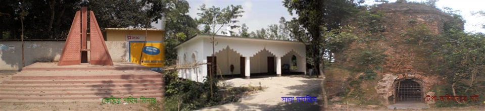 টেপামধুপুর ইউনিয়ন