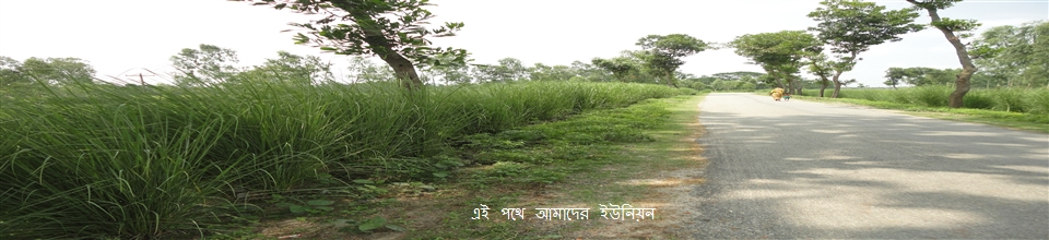 ইউনিয়নের প্রবেশের রাস্তা