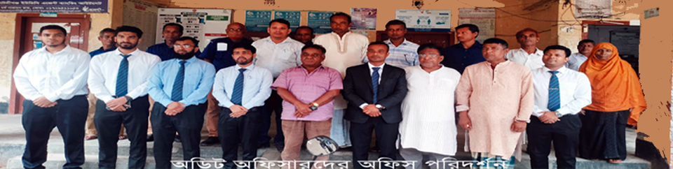 অফিস অডিট