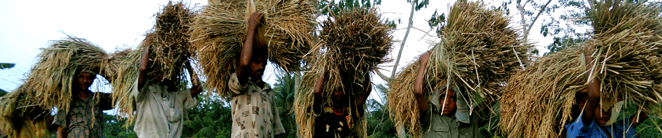 তেরখাদা উপজেলা।