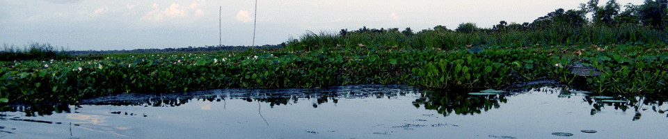 তেরখাদা উপজেলা