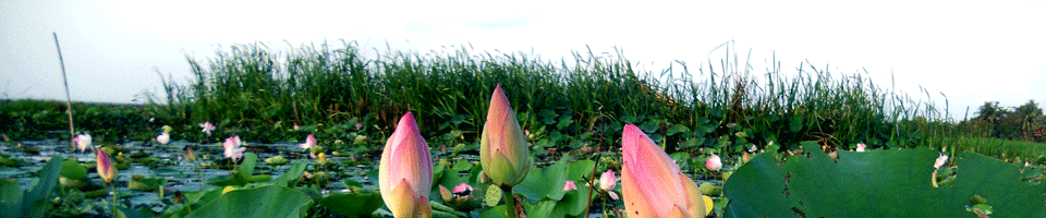 তেরখাদা উপজেলা