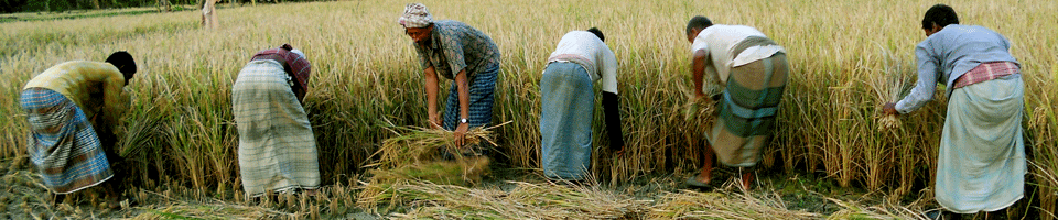 তেরখাদা উপজেলা।