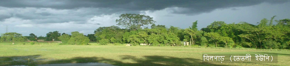 বিলপাড় (তেতলী ইউপি)