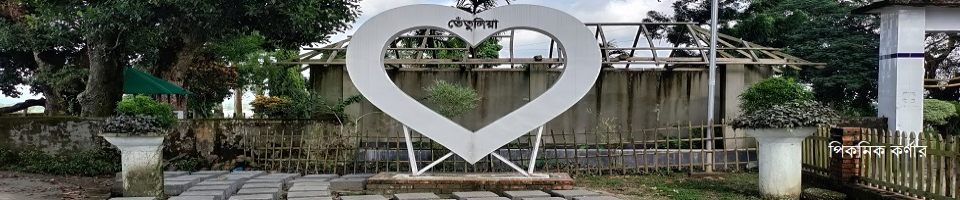 পিকনিক কর্ণার-১