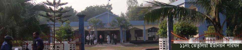 তেতুলিয়া ইউনিয়ন পরিষদ ভবন