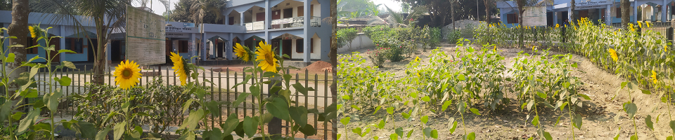 তেঁতুলিয়া ইউপি\\'র বাগান