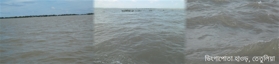 ডিঙ্গাপোতা হাওড়,তেতুলিয়া