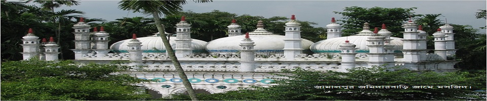 জামালপুর জমিদারবাড়ি জামে মসজিদ।