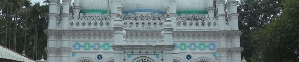 জামালপুর ঐতিহাসিক জামে মসজিদ
