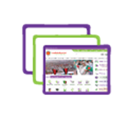 উল্লেখযোগ্য কার্যাবলী,প্রতিবেদন ও ফরম